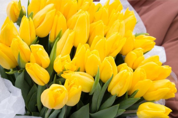 букет желтых тюльпанов