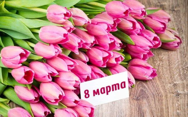 букет тюльпанов красивый