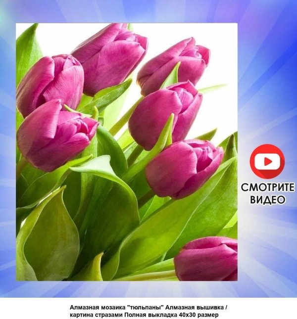 открытка с тюльпанами