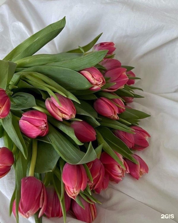 тюльпан букет