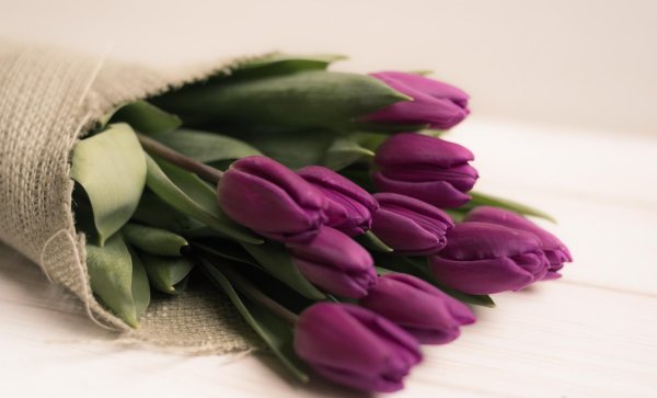 тюльпан букет