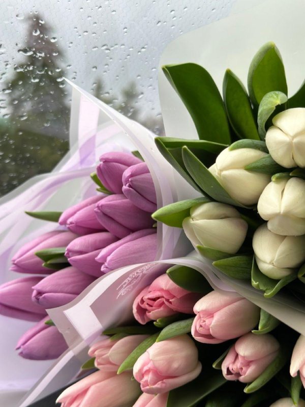 нежный букет тюльпанов