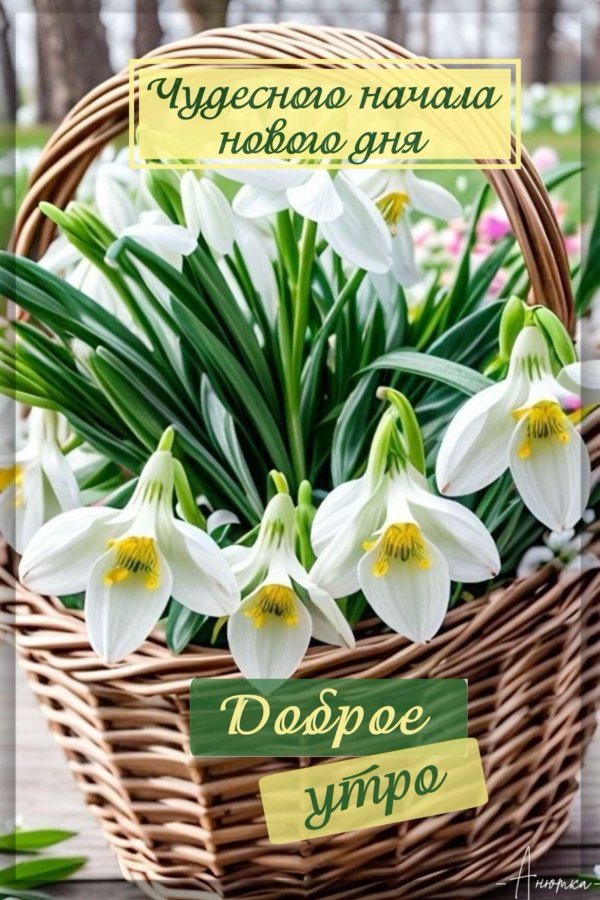 добрейшего весеннего утра