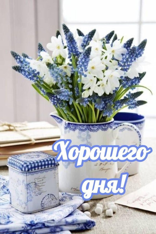 композиции цветочные