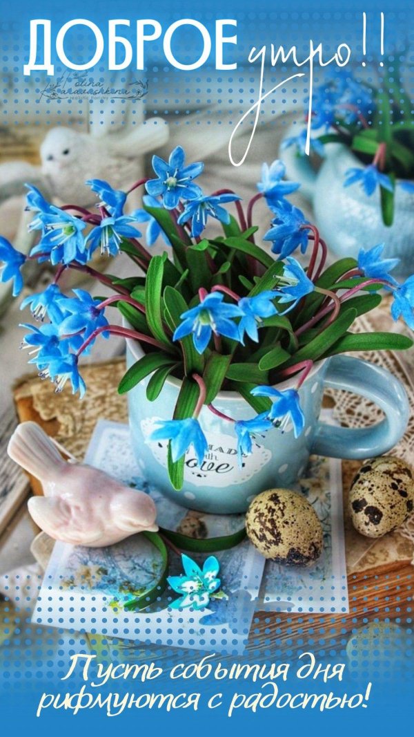 добрейшего весеннего утра