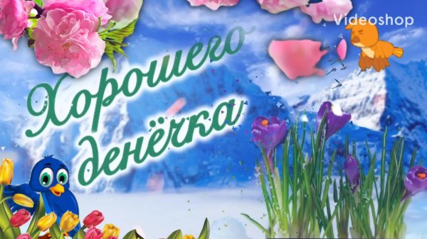 хорошего весеннего денечка