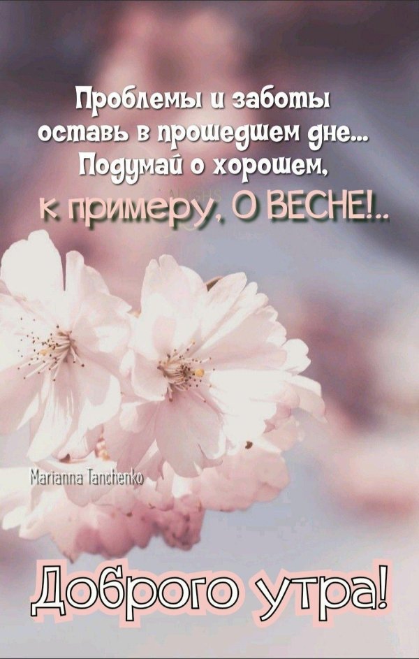 Доброе весеннее утро