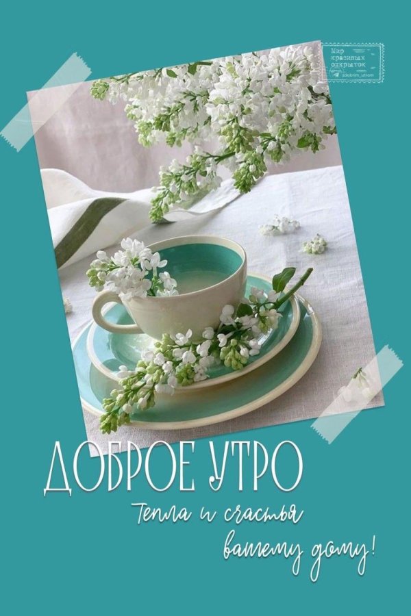 добрейшего весеннего утра