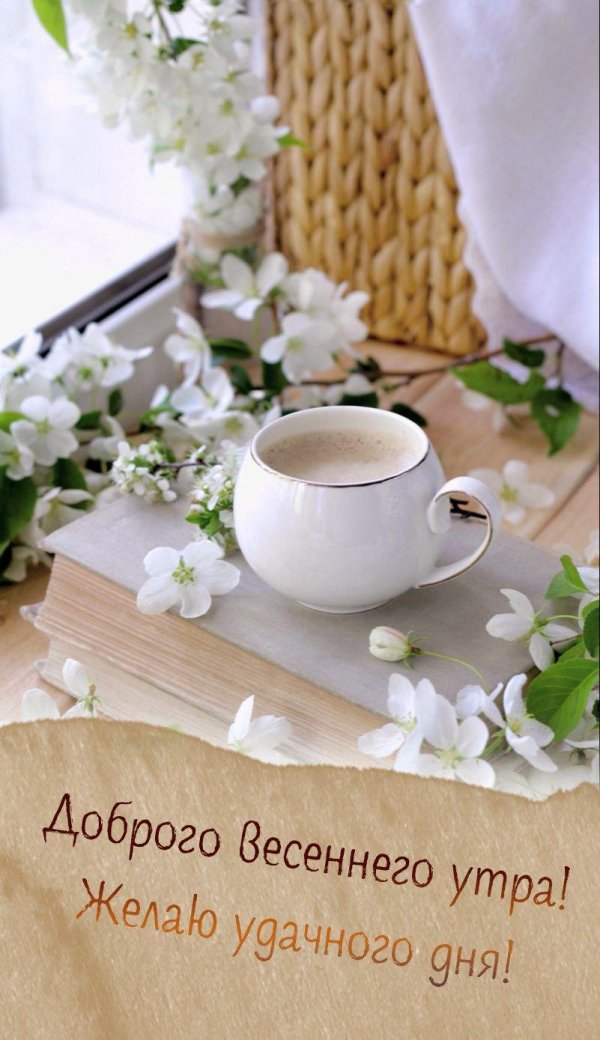 весеннего доброго утра
