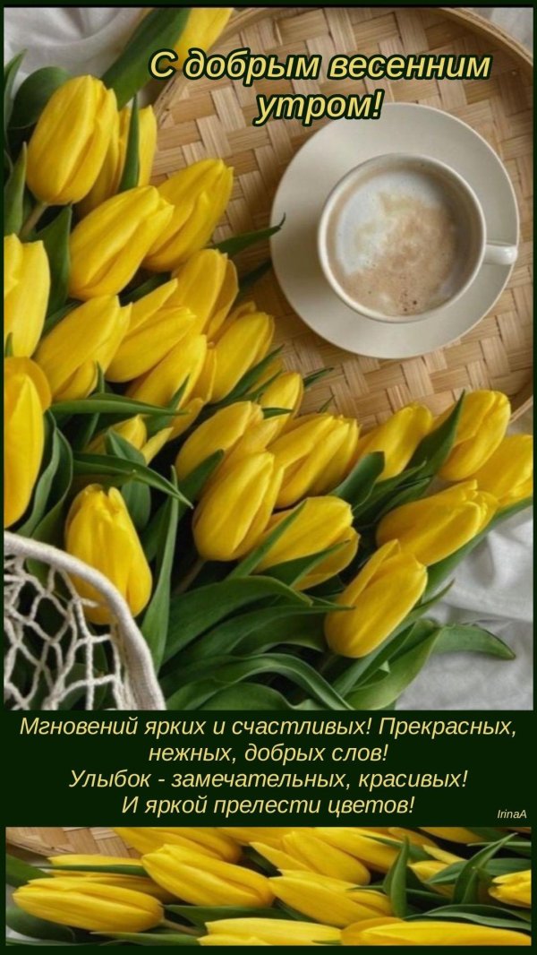 с добрым весеннем утром