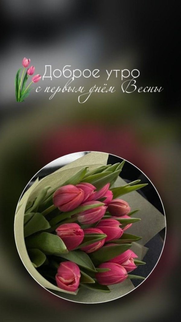 букет тюльпан