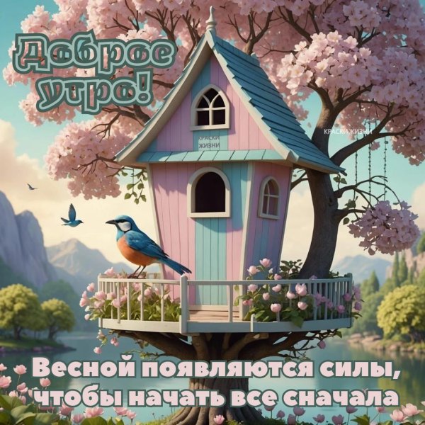 доброе утро красивые весенние