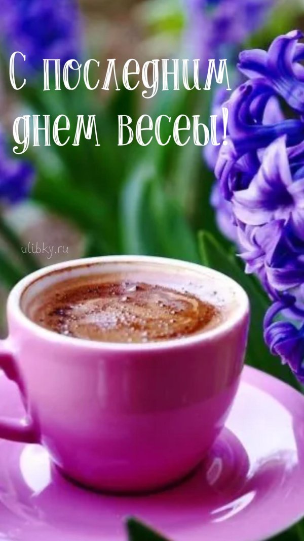 открытка с добрым утром хорошего дня новенькое что нибудь