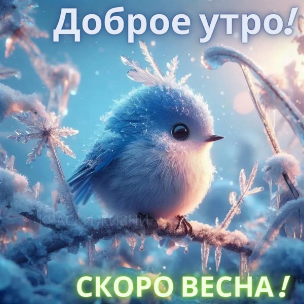 доброго утра зимнего