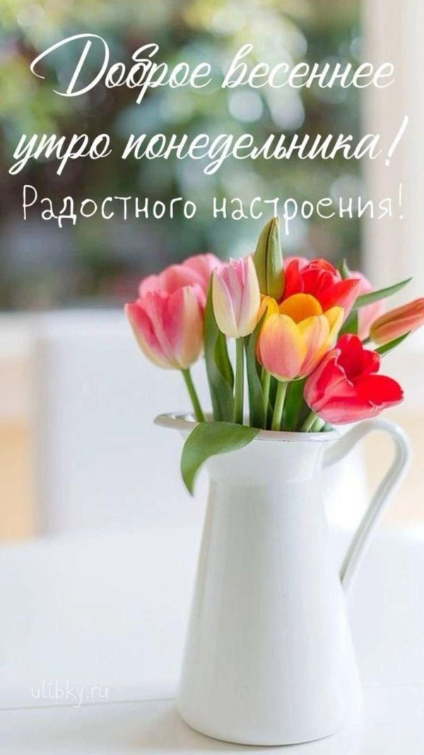 доброго весеннего утра понедельника
