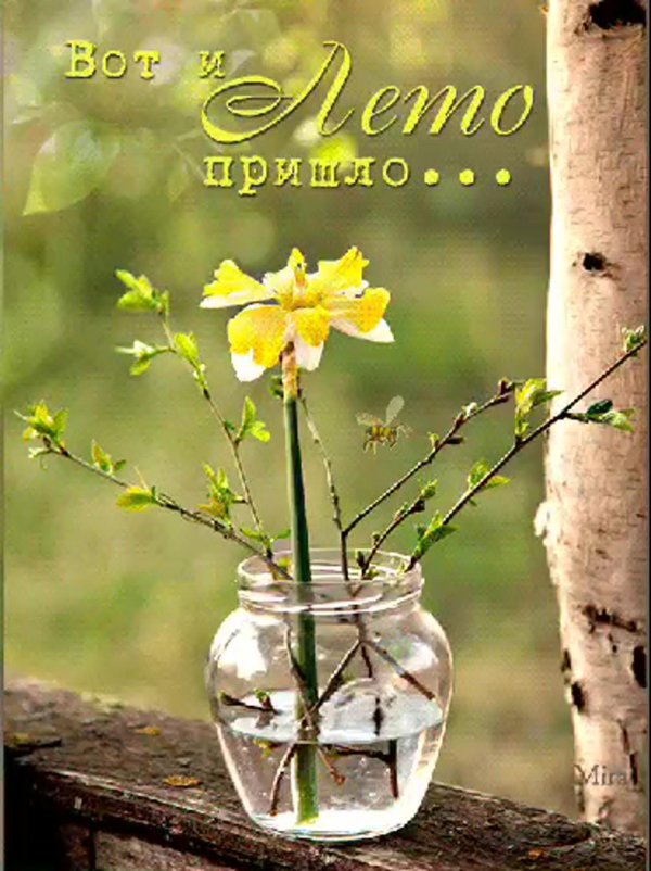 весеннего утра