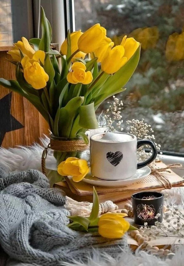 утренние тюльпаны