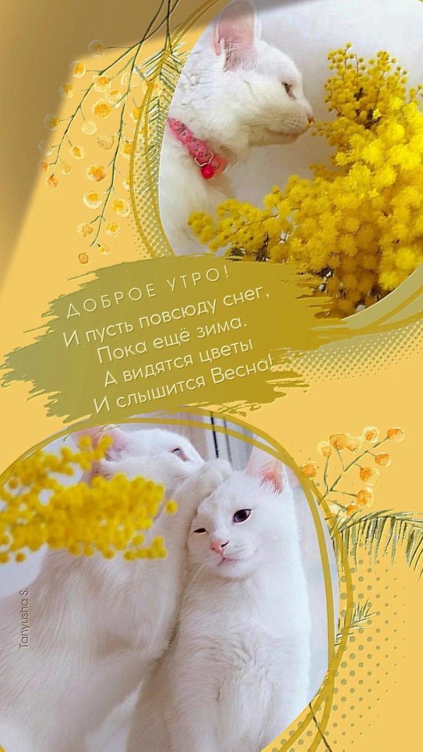 открытки со стихами о весне