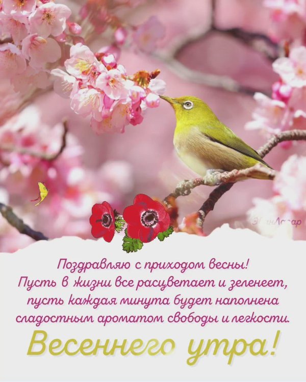 весеннего настроения