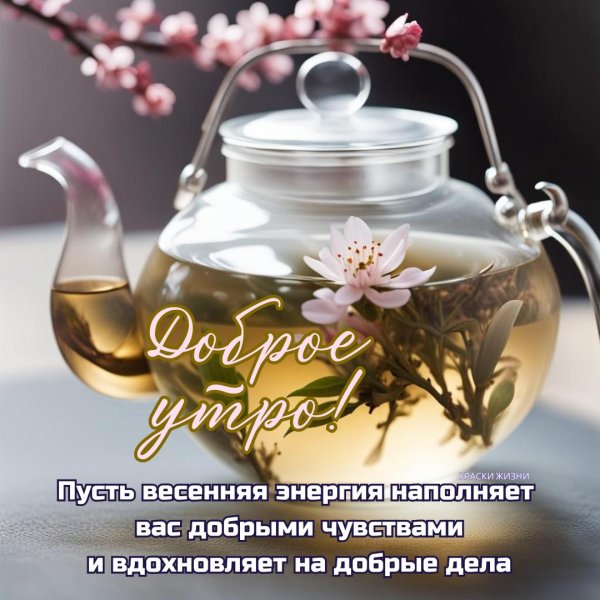 доброе утро весеннее и хорошего дня