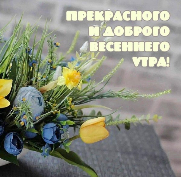 весеннее утро доброе