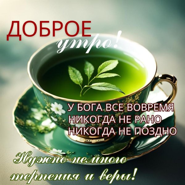 открытки доброе утро с мудрыми пожеланиями новые