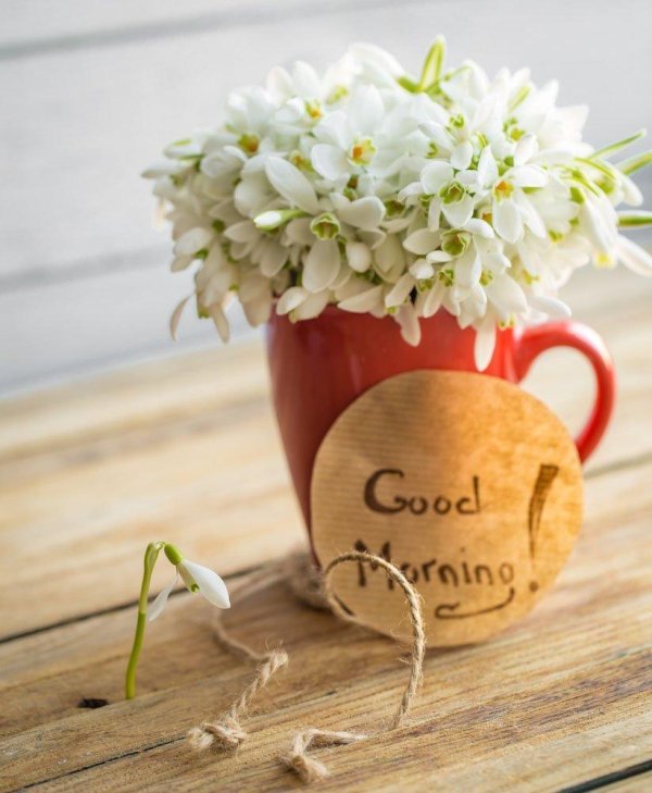 подснежники открытка