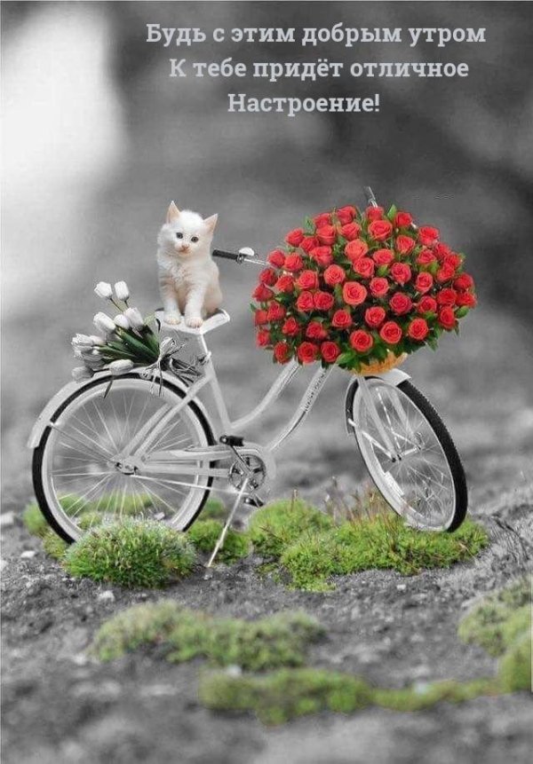 велосипед красивый