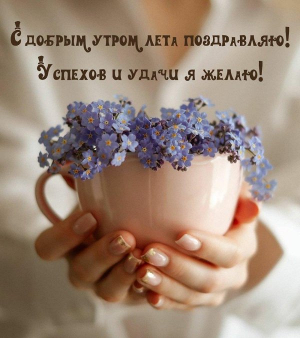 доброе незабудковое утро