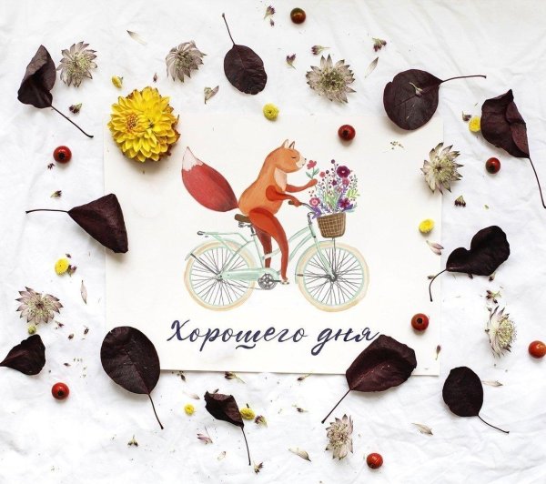 современные открытки