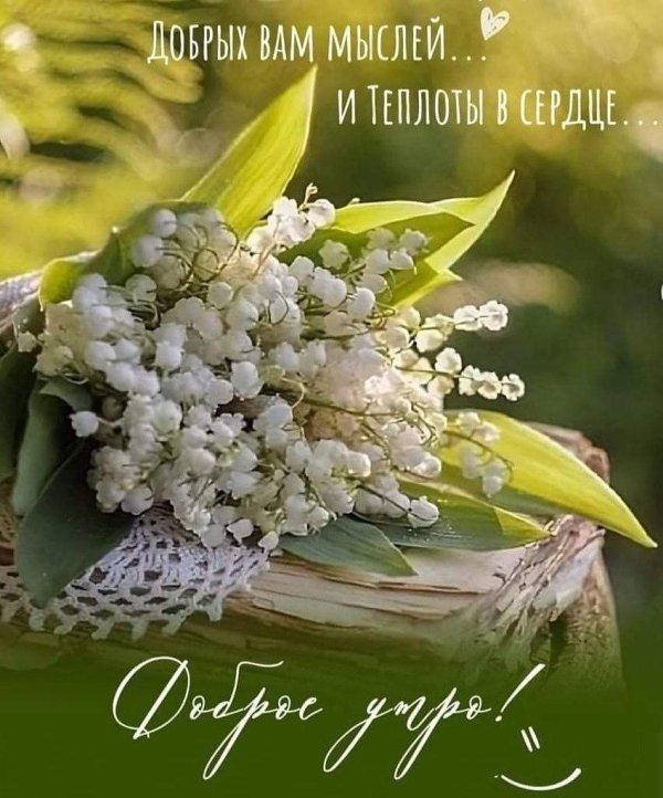 пландыши светлого мая привет