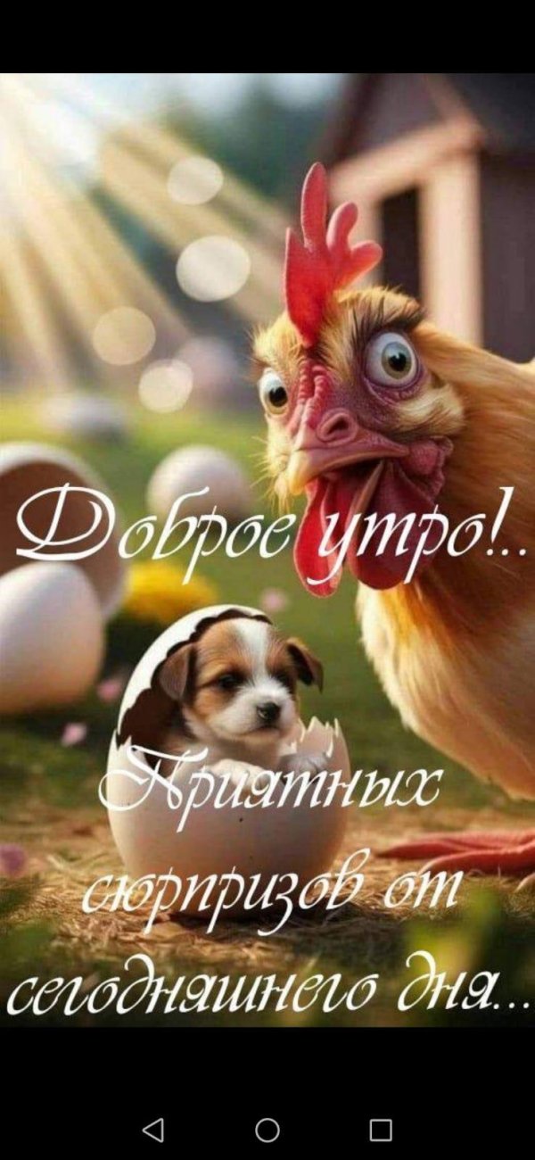 доброго утра с юмором