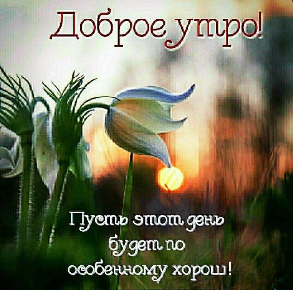 добра утра