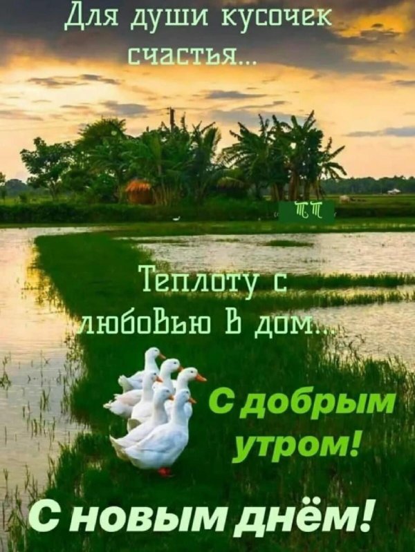 добра утра