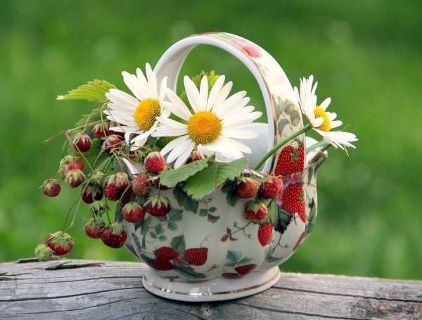 лето земляника