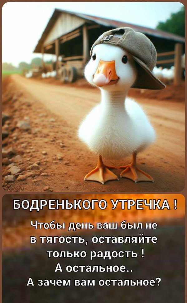 бодренького утречка