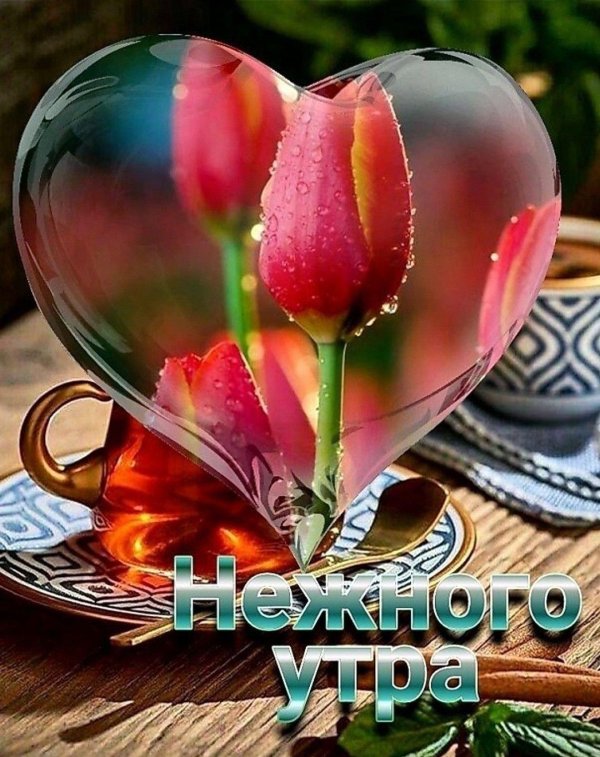добра утра