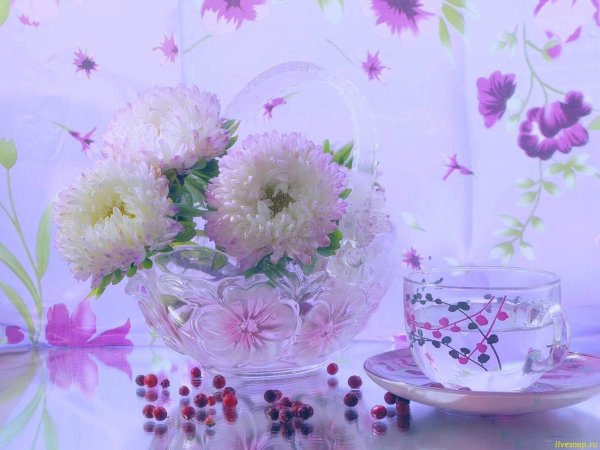 фотонатюрморты маргариты епишиной