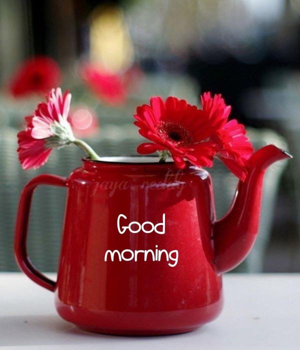 цветы в чайнике