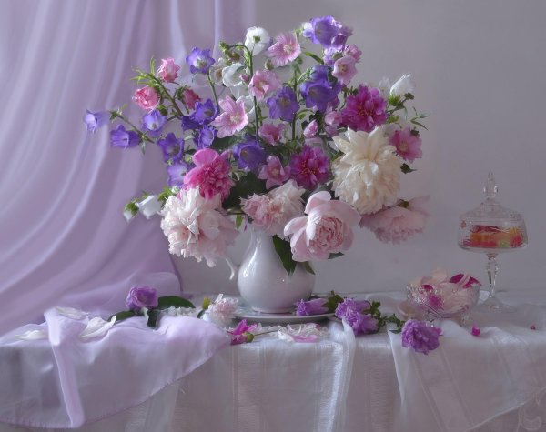 пионы валентины коловой