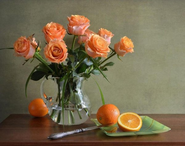 апельсин натюрморт