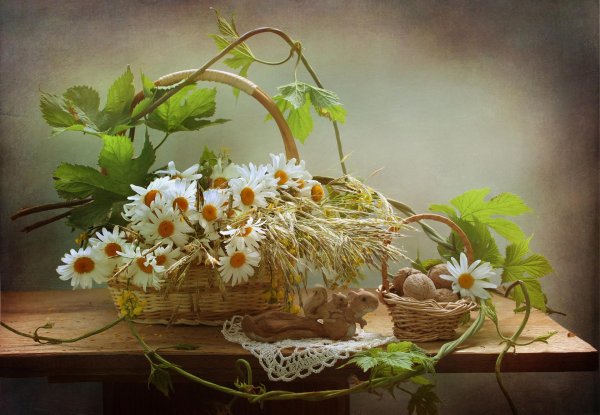 летний натюрморт