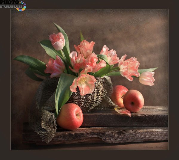 луиза гельтс натюрморты