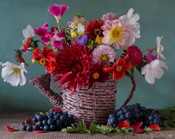 фотонатюрморты елены панковой