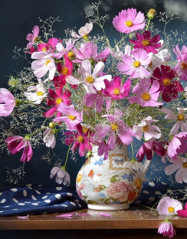 космея фотонатюрморты