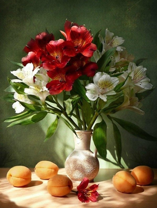 татьяна скороход натюрморты