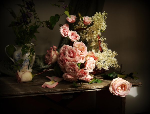 фотонатюрморты марина филатова филатова