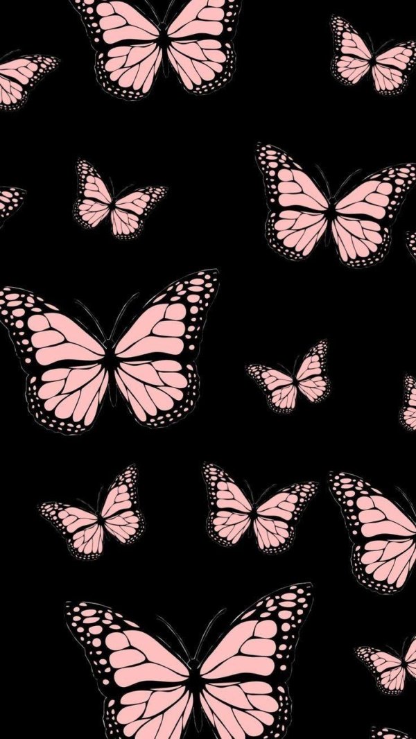 обои на айфон бабочки