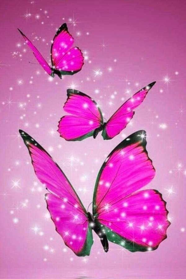 розовые сверкающие бабочки