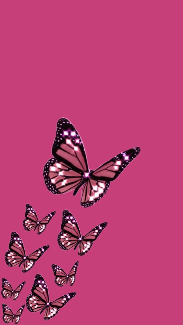 розовые обои с бабочками